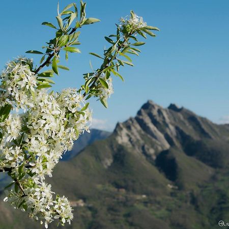 B&B La Bella Vista Albano di Lucania Екстериор снимка